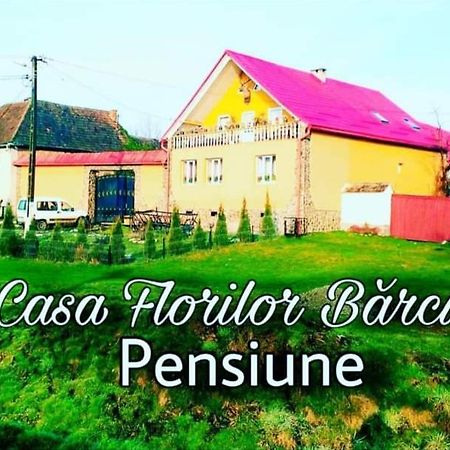 Casa Florilor Barcut公寓 外观 照片