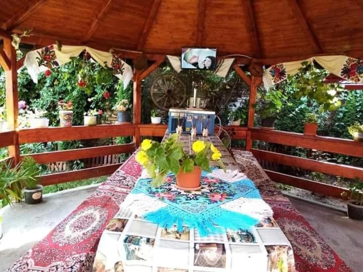 Casa Florilor Barcut公寓 外观 照片