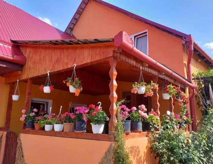 Casa Florilor Barcut公寓 外观 照片