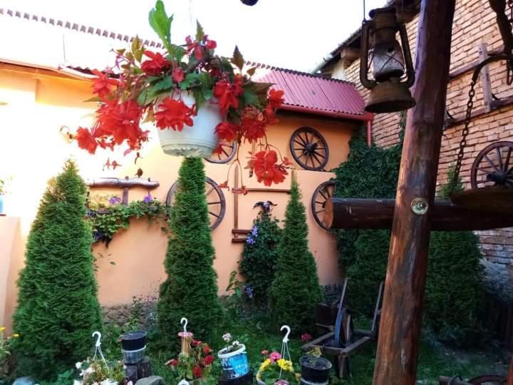 Casa Florilor Barcut公寓 外观 照片