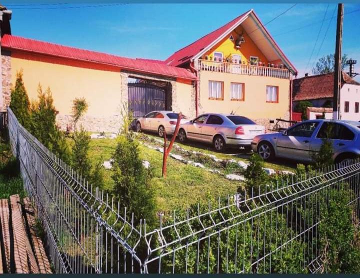 Casa Florilor Barcut公寓 外观 照片