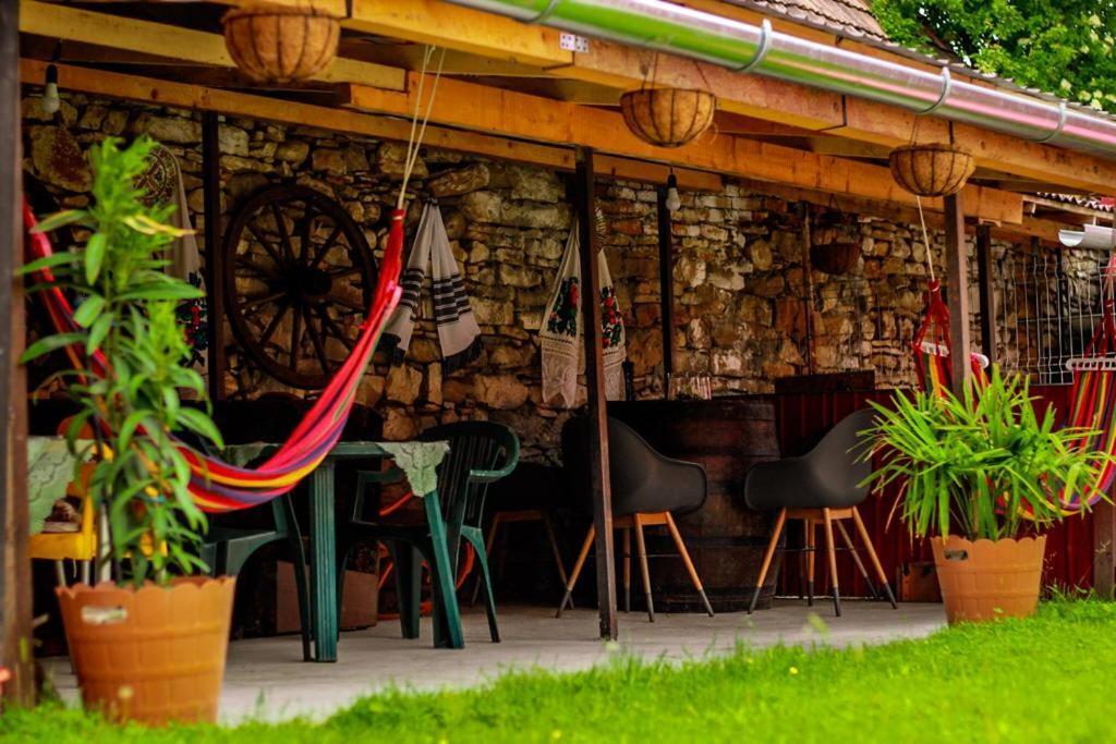 Casa Florilor Barcut公寓 外观 照片