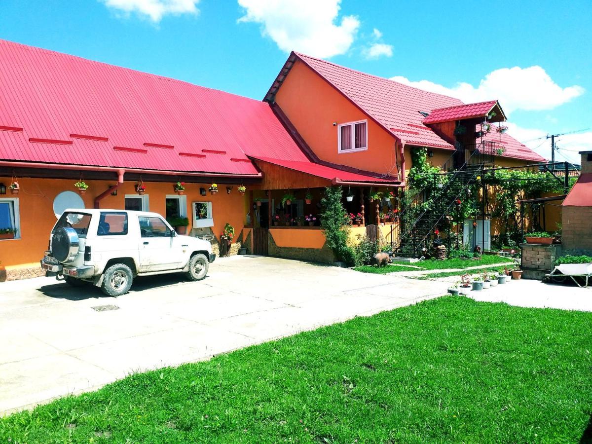 Casa Florilor Barcut公寓 外观 照片