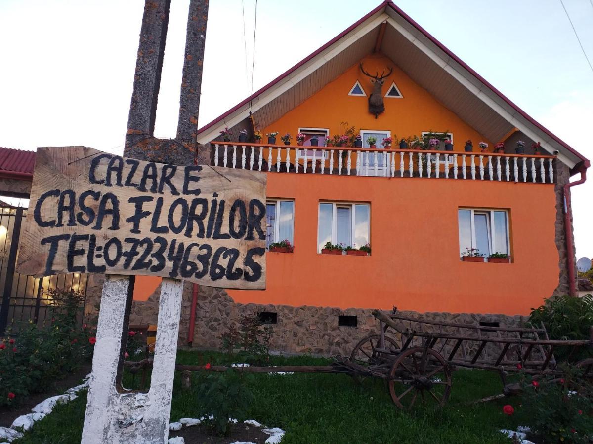 Casa Florilor Barcut公寓 外观 照片