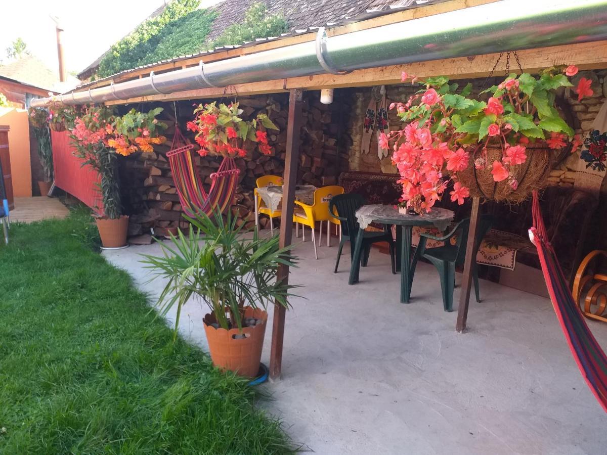Casa Florilor Barcut公寓 外观 照片