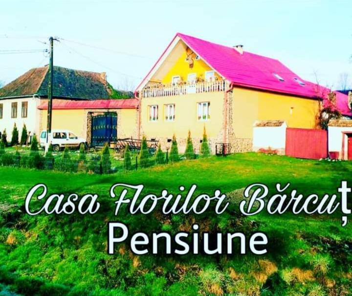 Casa Florilor Barcut公寓 外观 照片