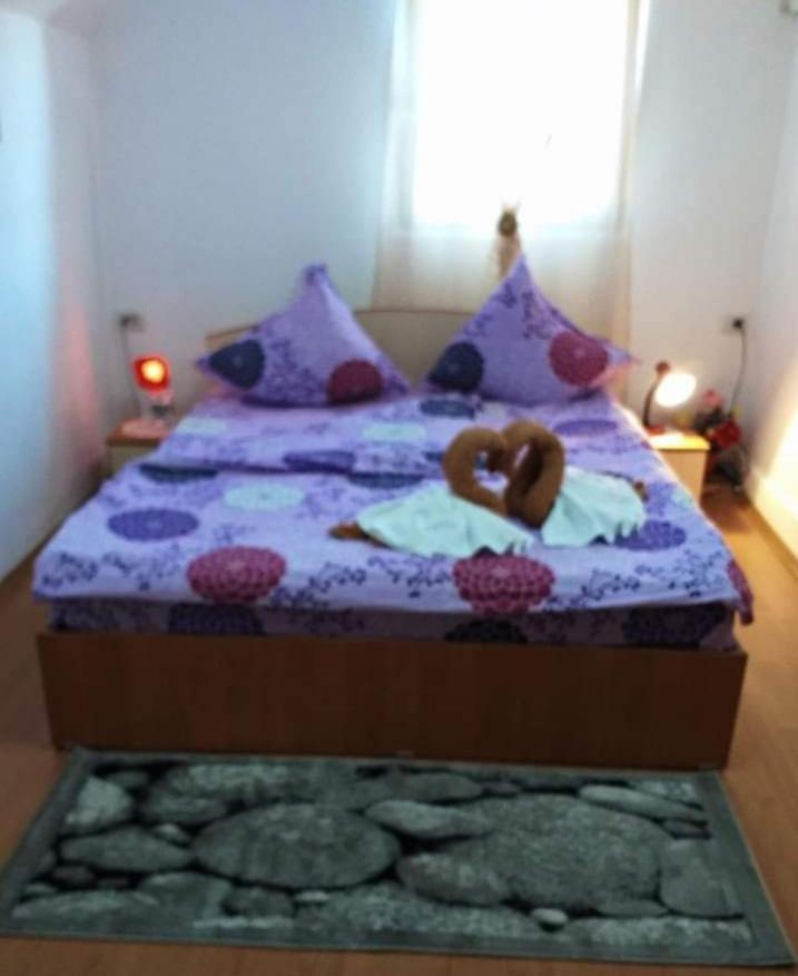 Casa Florilor Barcut公寓 外观 照片