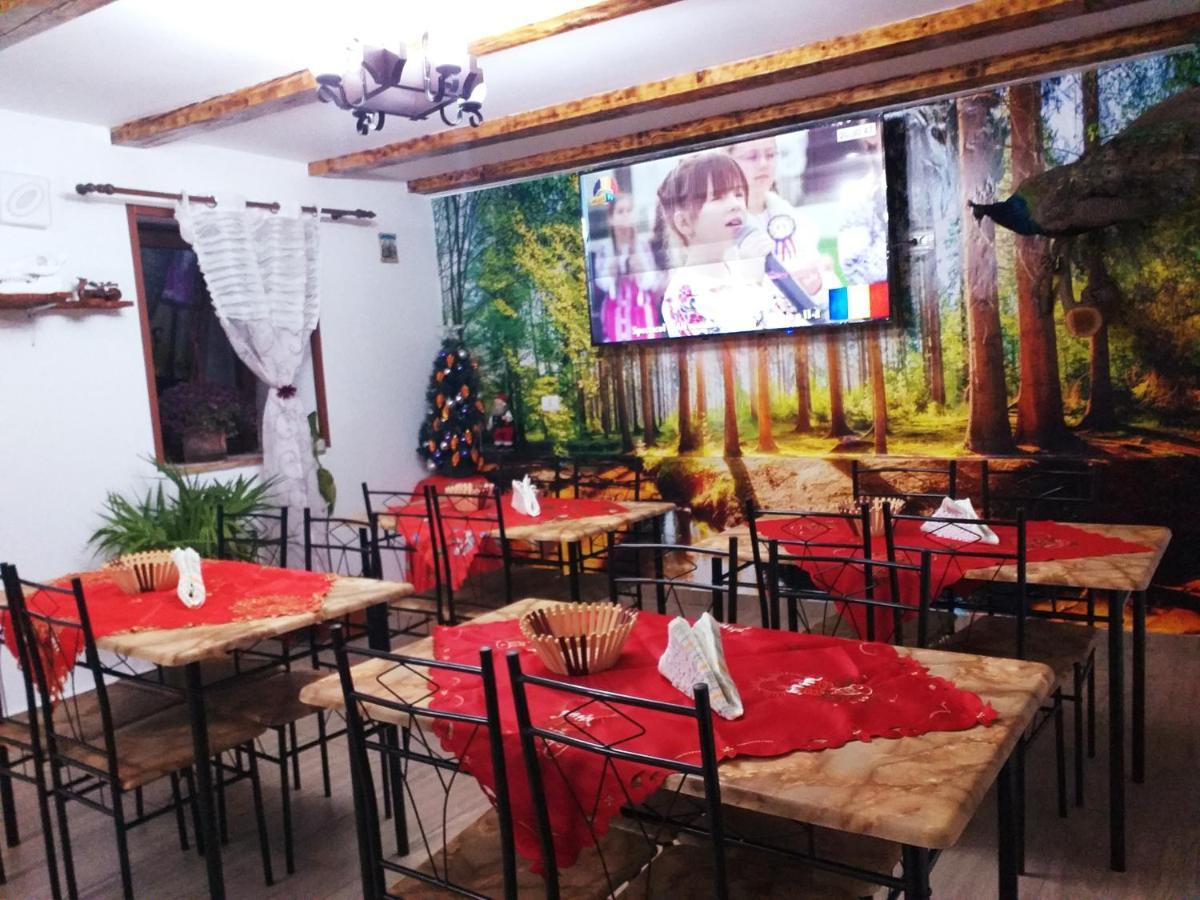 Casa Florilor Barcut公寓 外观 照片