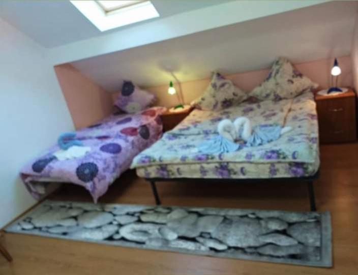 Casa Florilor Barcut公寓 外观 照片