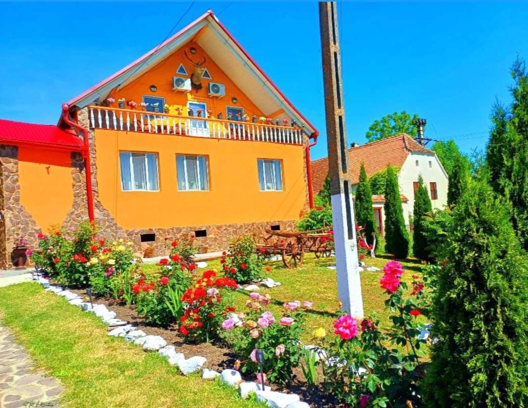 Casa Florilor Barcut公寓 外观 照片