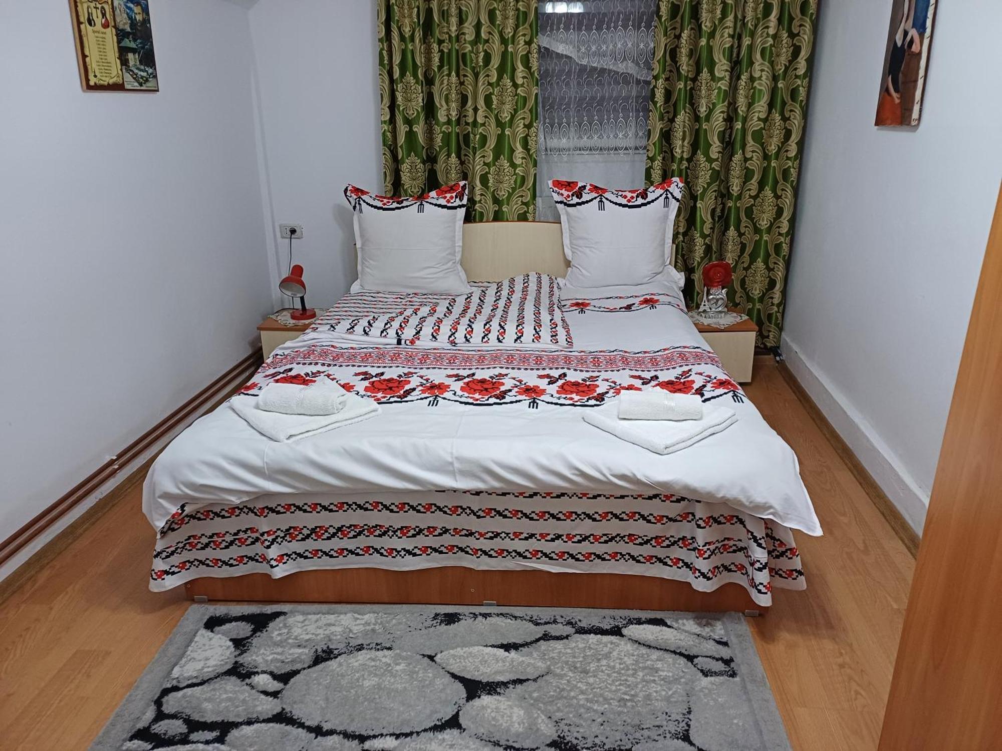 Casa Florilor Barcut公寓 外观 照片