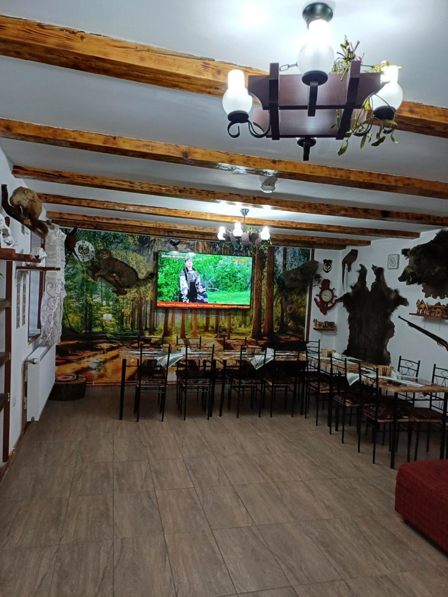 Casa Florilor Barcut公寓 外观 照片