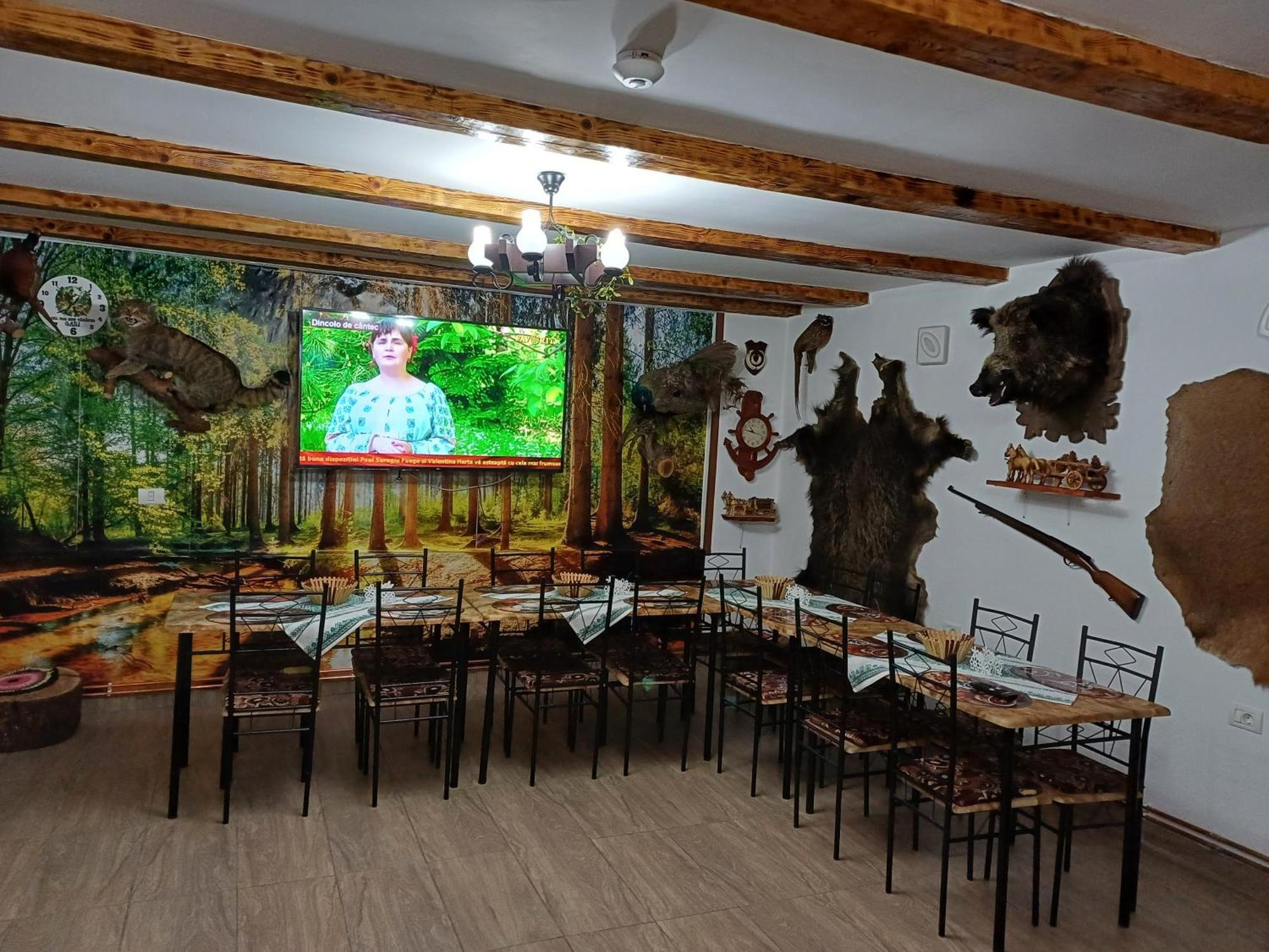 Casa Florilor Barcut公寓 外观 照片