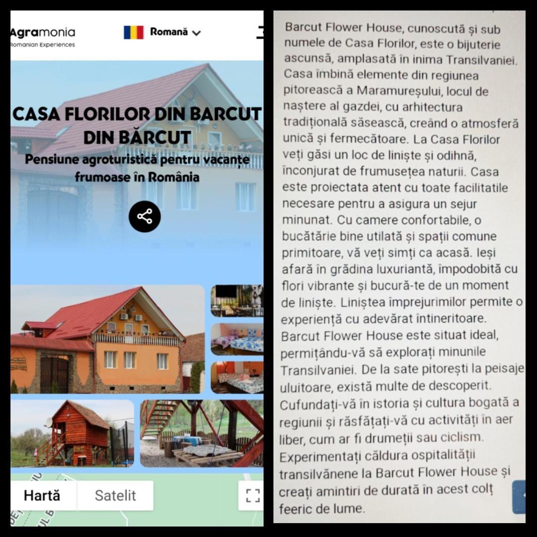 Casa Florilor Barcut公寓 外观 照片